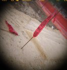 lomotomia_scan-081026-0013.jpg
