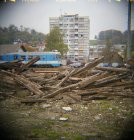 lomotomia_scan-081026-0007.jpg