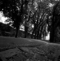 pinholeday_2009_02.jpg