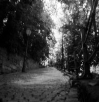 pinholeday_2009_01.jpg