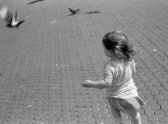 una_027