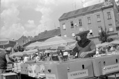zg-street_012