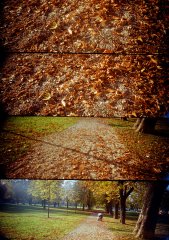 ilica_trgfranc_08