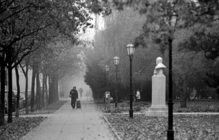 magla_jutro