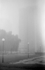 magla_travno