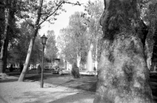 pinholeday_03