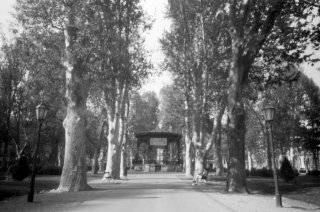 pinholeday_06